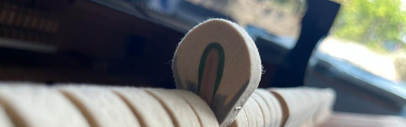 Marteau de piano relevé, âme de bois visible dans le feutre