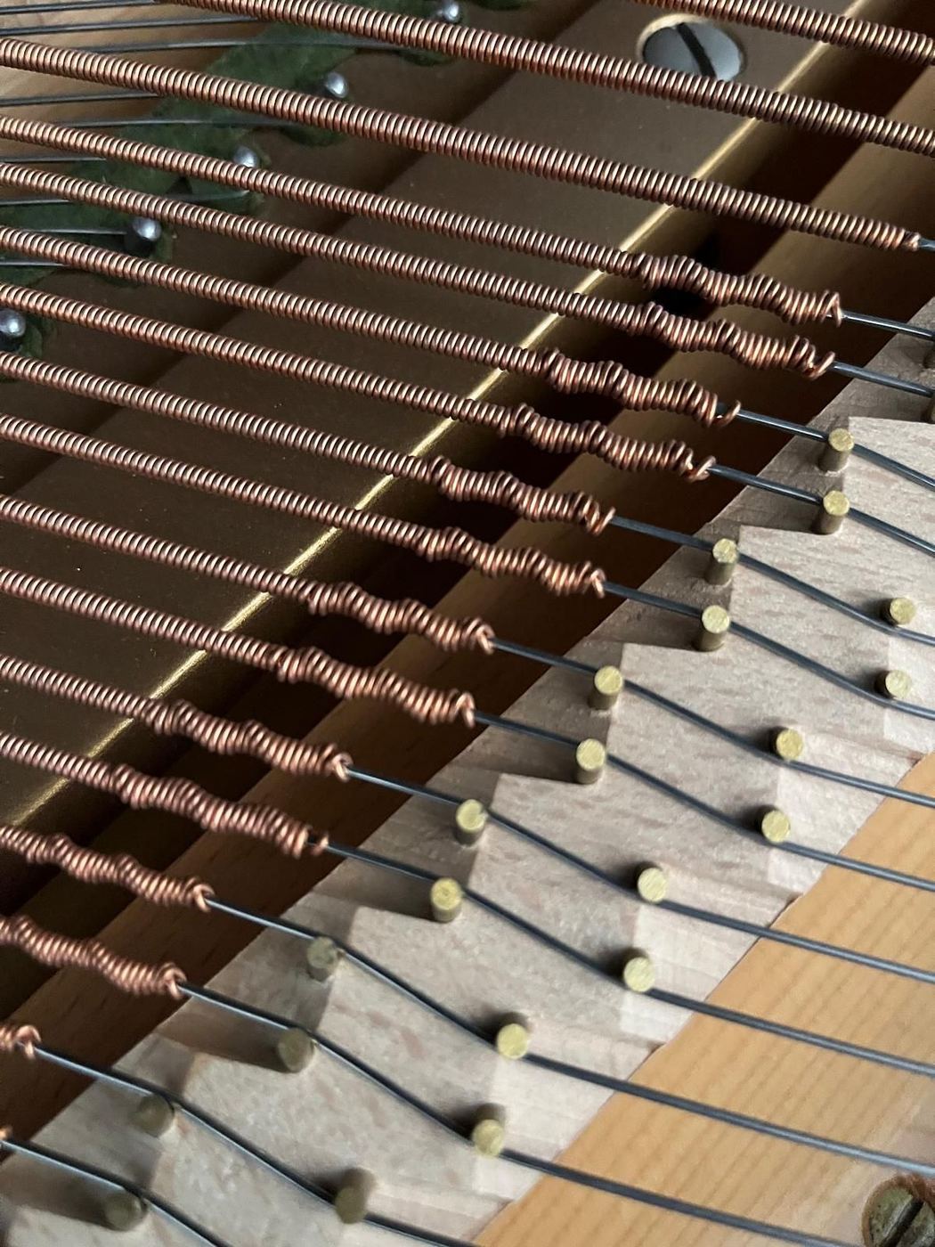 Cordes graves filées de cuivre et pointes du chevalet d'un piano