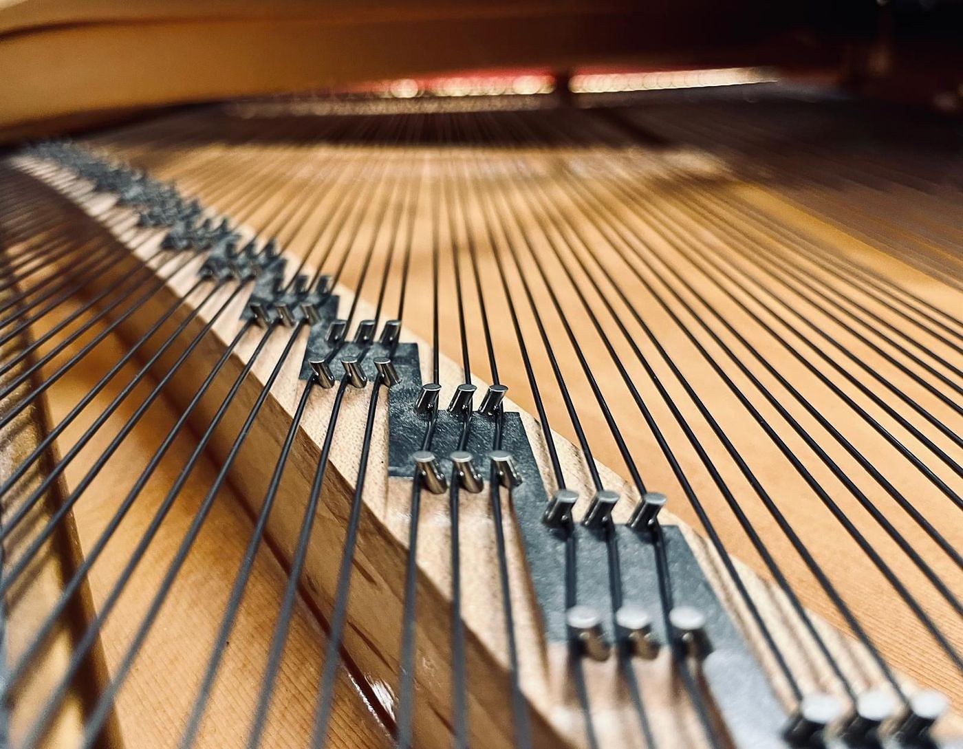 Cordes graves et agrafes sur la table d'harmonie d'un piano à queue